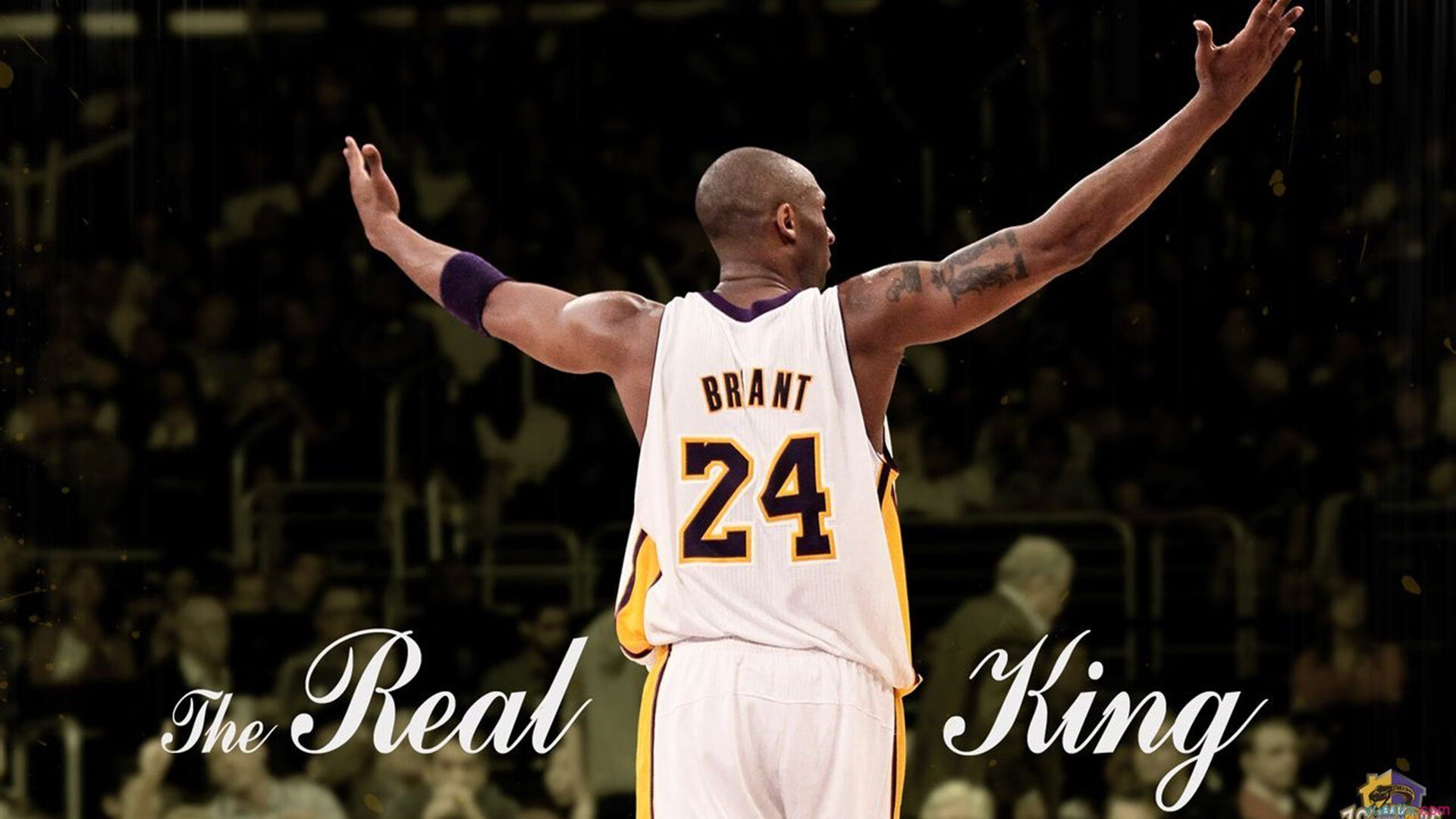 开云下载-拉文数据全面爆炸，广东力克新疆，诠释何为唯一