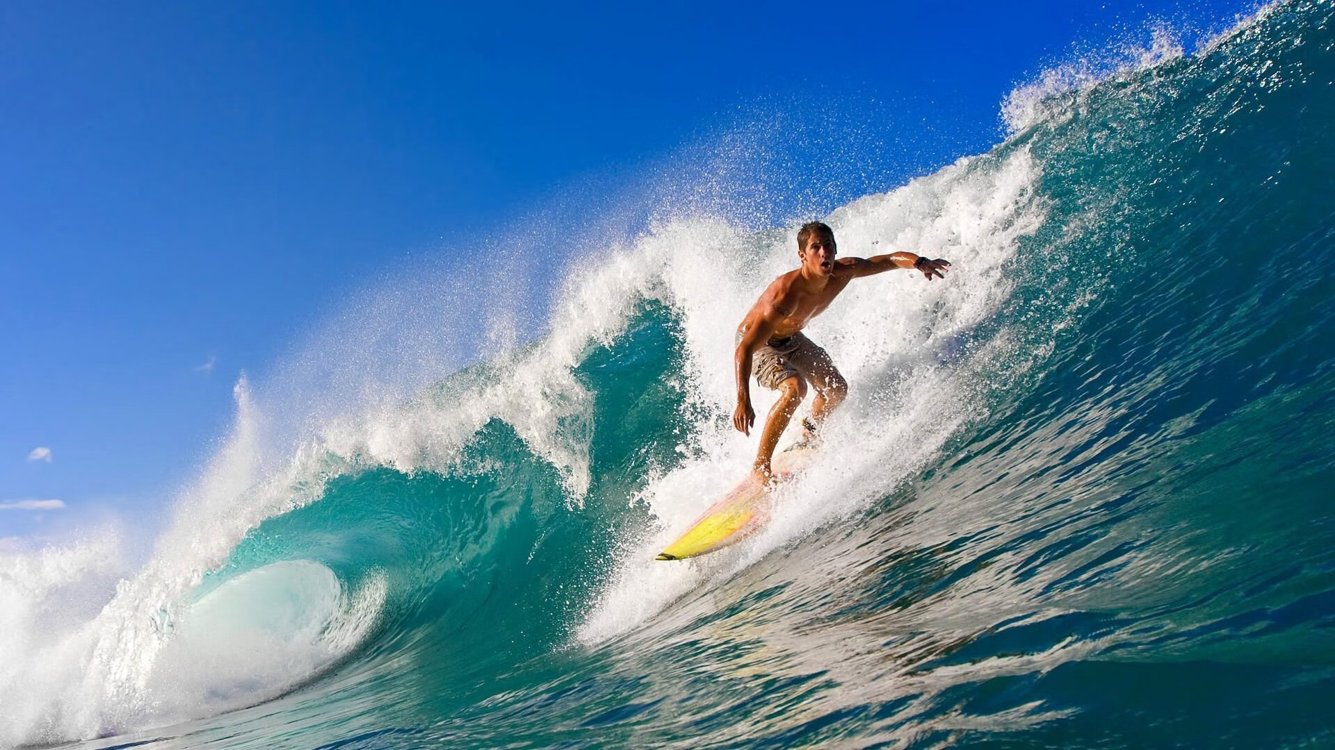 拉沃尔杯的荣耀,纳达尔高光表现如何让团队胜利超越ATP总决赛的个人辉煌